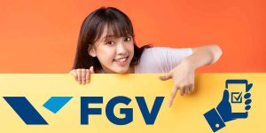 fgv cursos online